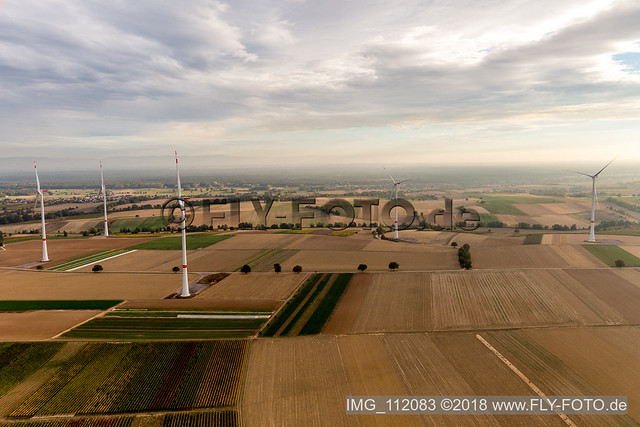 Freckenfeld, Windpark der EnBW - Windenergieanlage  mit  6 Windrädern - IMG_112083