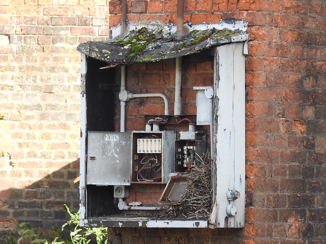Old Fuse Box, Railway Station, Shrewsbury 19 September 2018