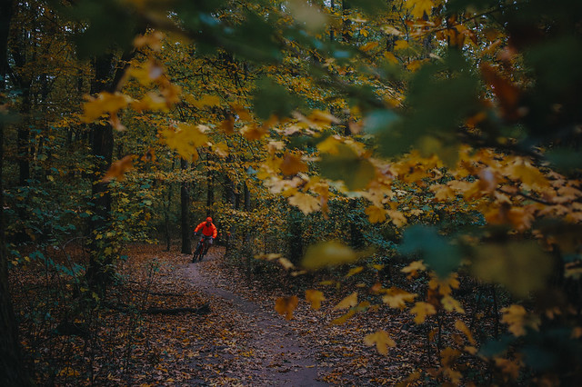 Fall ride; Bucharest, Romania