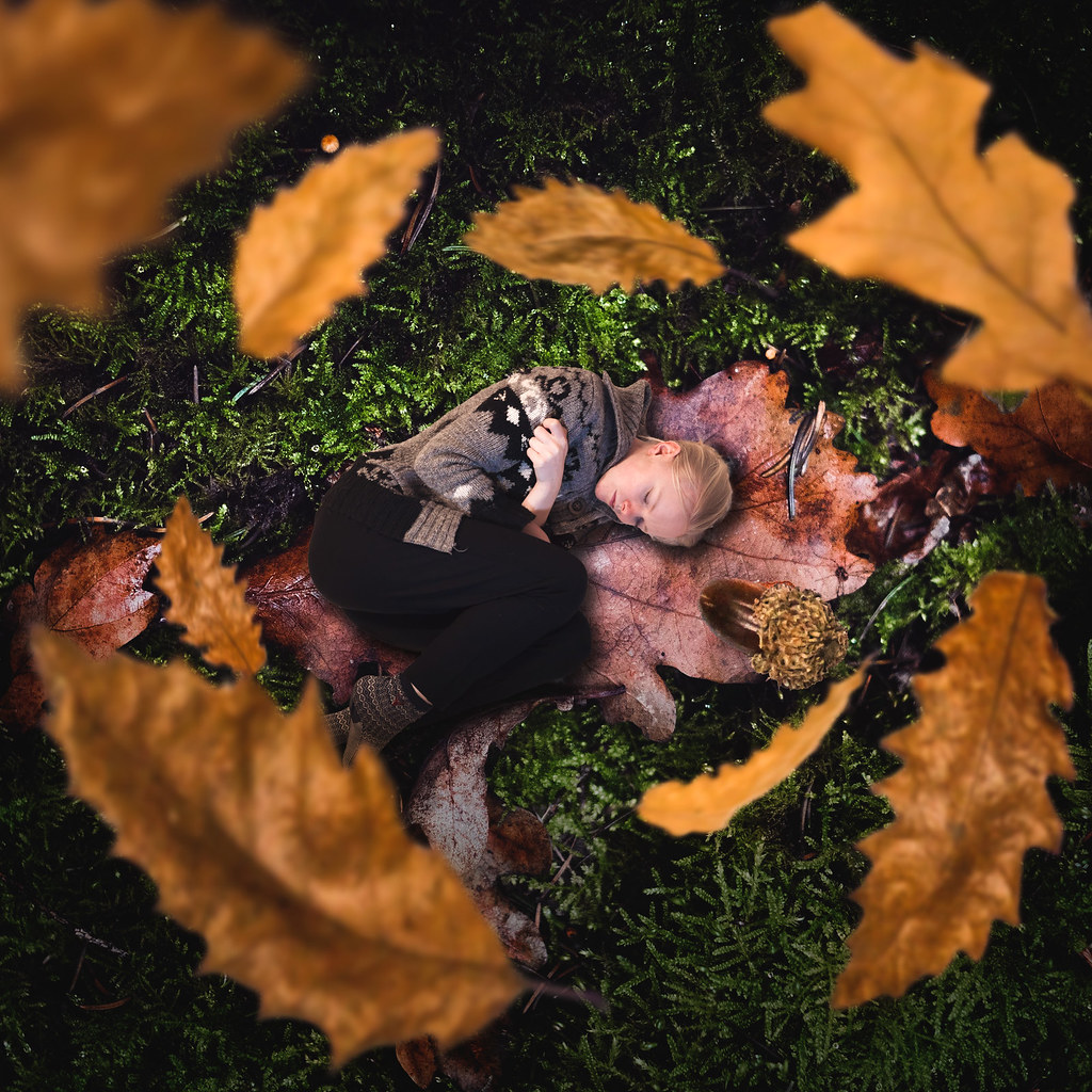 When we fall asleep | When Autumn comes, and it gets darker … | Flickr