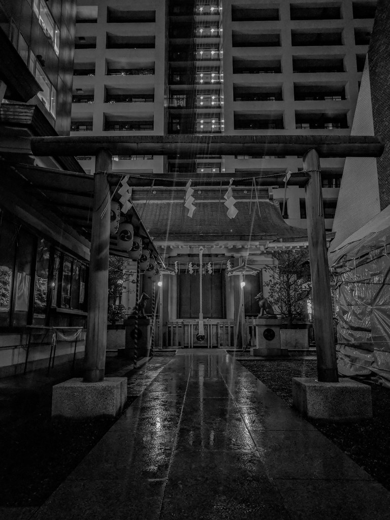 #309 City shrine at night
