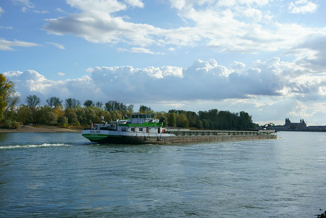 MS Rhein - Main