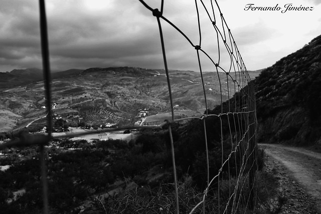 🇪🇸 Alambradas al campo/Barbed wire to the field