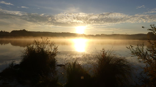 Rundgang um den Nieder-Mooser See by NABU|naturgucker, (c) Gudrun Treiberngidn760040695