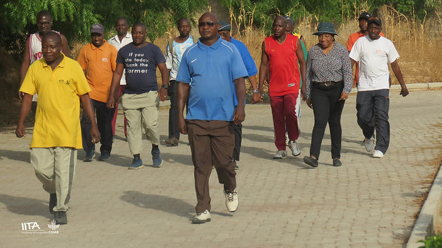 IITA Kano staff walk with West Africa hub administrator