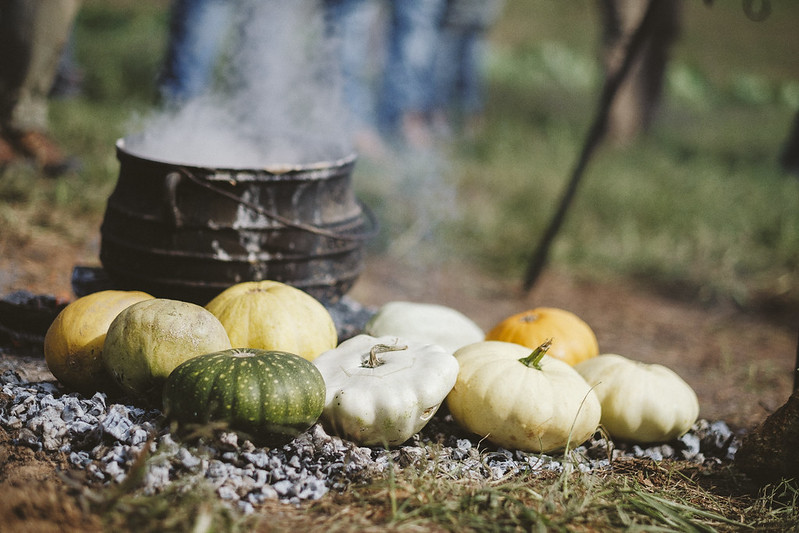 Seminole Pumpkins contributed by Rufus Elliot (Monacan) from the Monacan Tribal Garden. The pumpkins were coal-roasted and then added to the corn soup.

11/17/2018
Photo credit: Ézé Amos