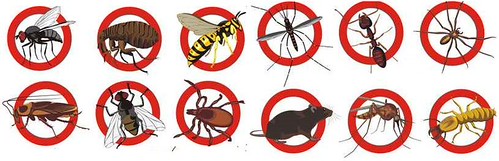 Pest Control Rushcutters Bay, NSW 2011 | by ProvenPestControl
