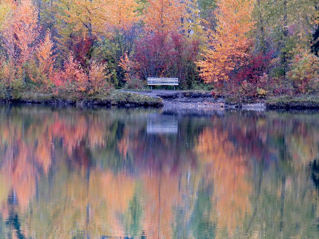 Bench, Maiden Lake, Fernie BC