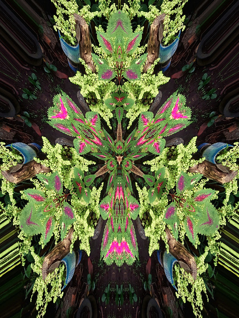Floral abstact