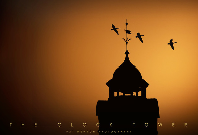 THE CLOCK TOWER SILHOUETTE