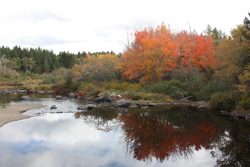 dumbarton newbrunswick canada fall foliage leaves colors river reflections