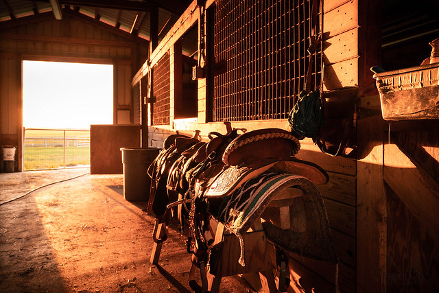 Stable Sunset 2