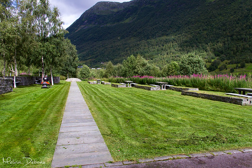 sogndal is municipality sogn og fjordane county norway it located northern shore sognefjorden traditional district melvin debono photography travel sogndalsfjora bøen flower flowers mountain grass sky tree