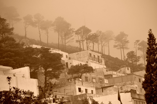 Morocco Black & White