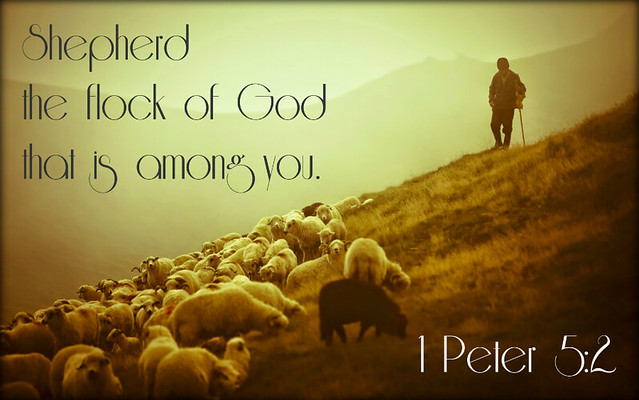1 Peter 5:2