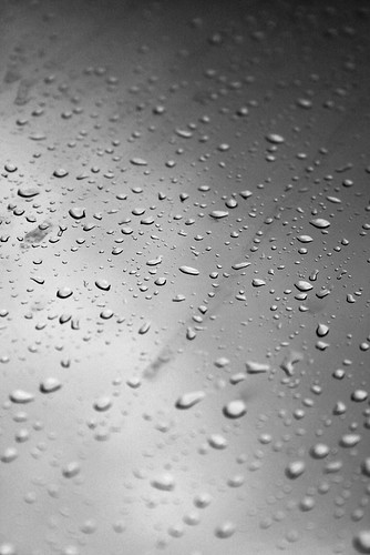 salpicada | Llueve fuera, no puedo salir así que habrá que e… | Flickr