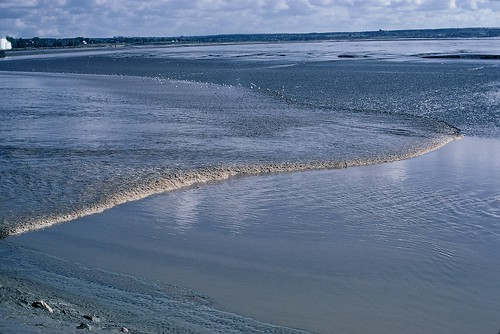 newbrunswick tide tidalbore river 35mmfilm 35mm