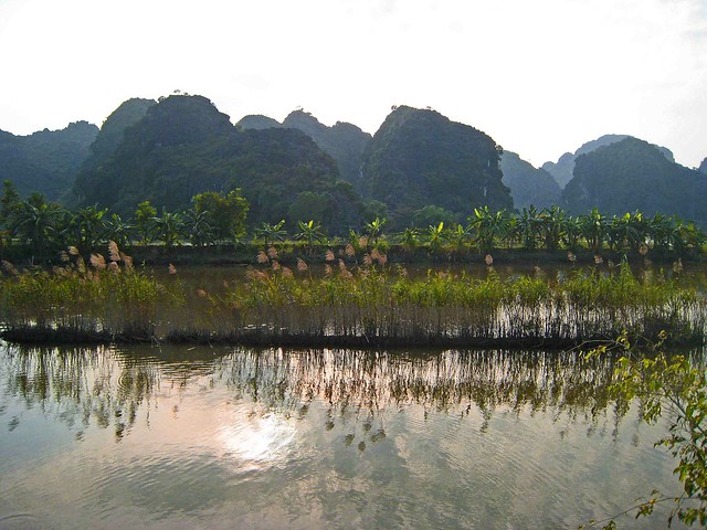 Banana trees and reeds reflecting at Tam Coc near Ninh Binh, Vietnam.