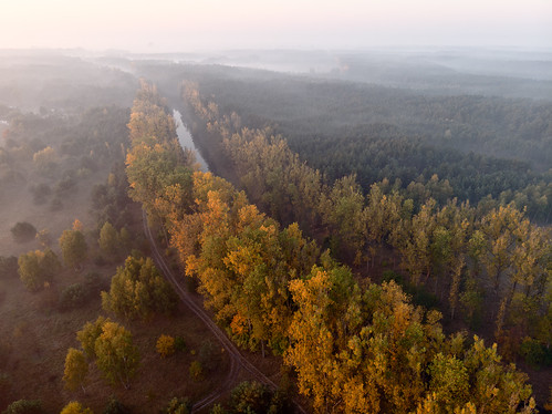 murowaniec aeb aerial air canal dji djiair drone fog forest hdr landscape mist sky sunrise tree water
