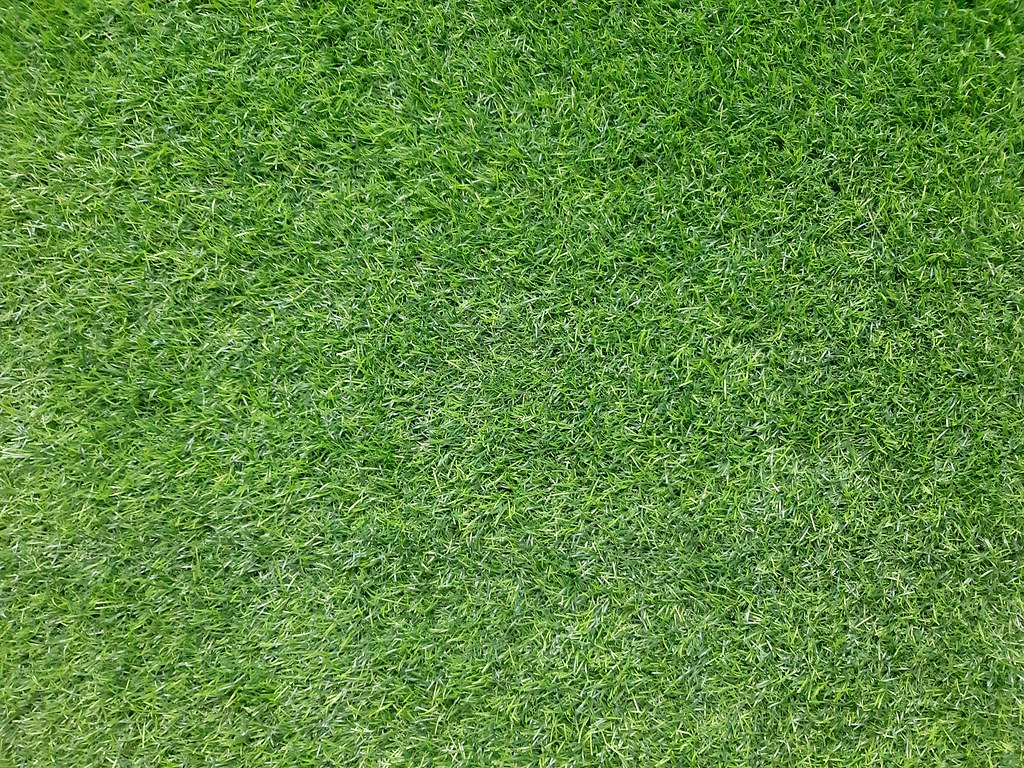 20181026_160028