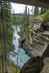 Athabasca Falls at Jasper Park Alberta Ca-11 6-9-18