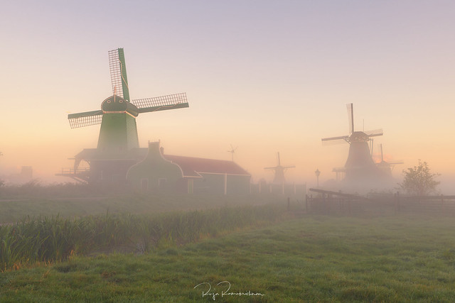 Fog and Windmills