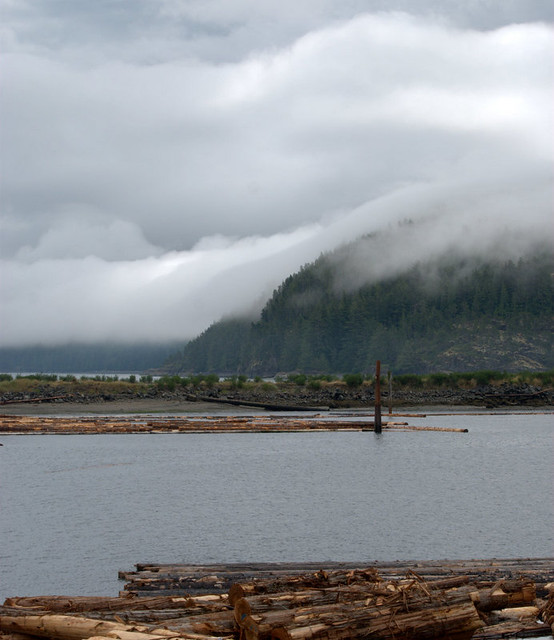 THE ROLLING FOG MAKES FOR A NEAT VISION OF THIS .  NICE PART OF VANCOUVER ISLAND,  BC.