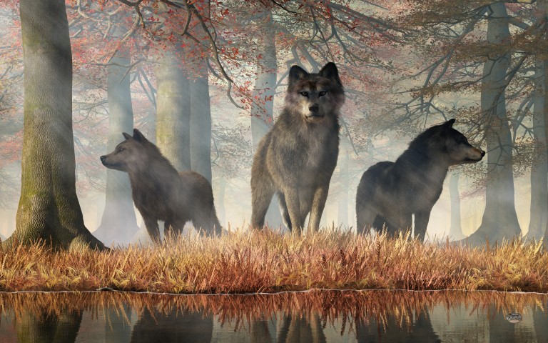 Wolves of Autumn
