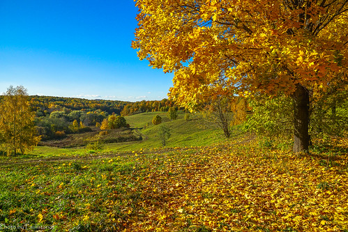 autumn october landscape nature russia moscow tsaritsyno park forest leaf foliage sky grass field hill