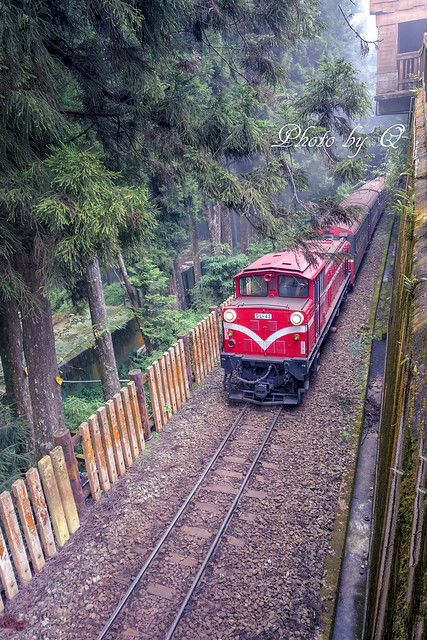 台湾　阿里山森林鉄道