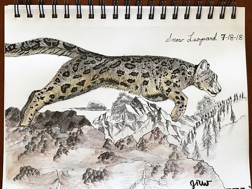 snowleopard leaping sketchbook sketching sketch brushpen inkwash penandink drawing wildlife animalart animalportrait bigcat leopard art watercolor