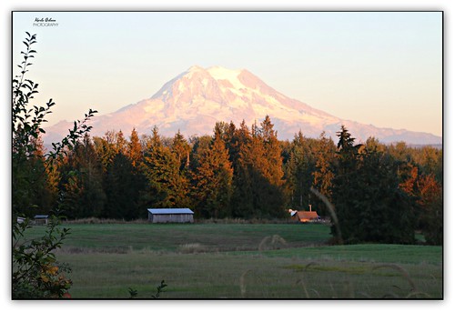 mtrainier mountains trees sunset farmland goldenhues nature graham washington canon picmonkey