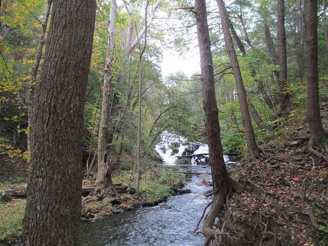 Saw Kill Creek, on the edge of the Montgomery Place campus, Bard College