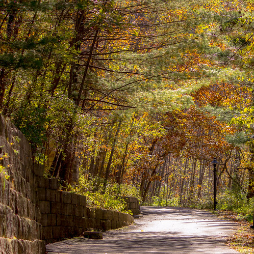 trees october fall colors landscape nature wisconsin outdoors path autumn fallcolors walkingpath