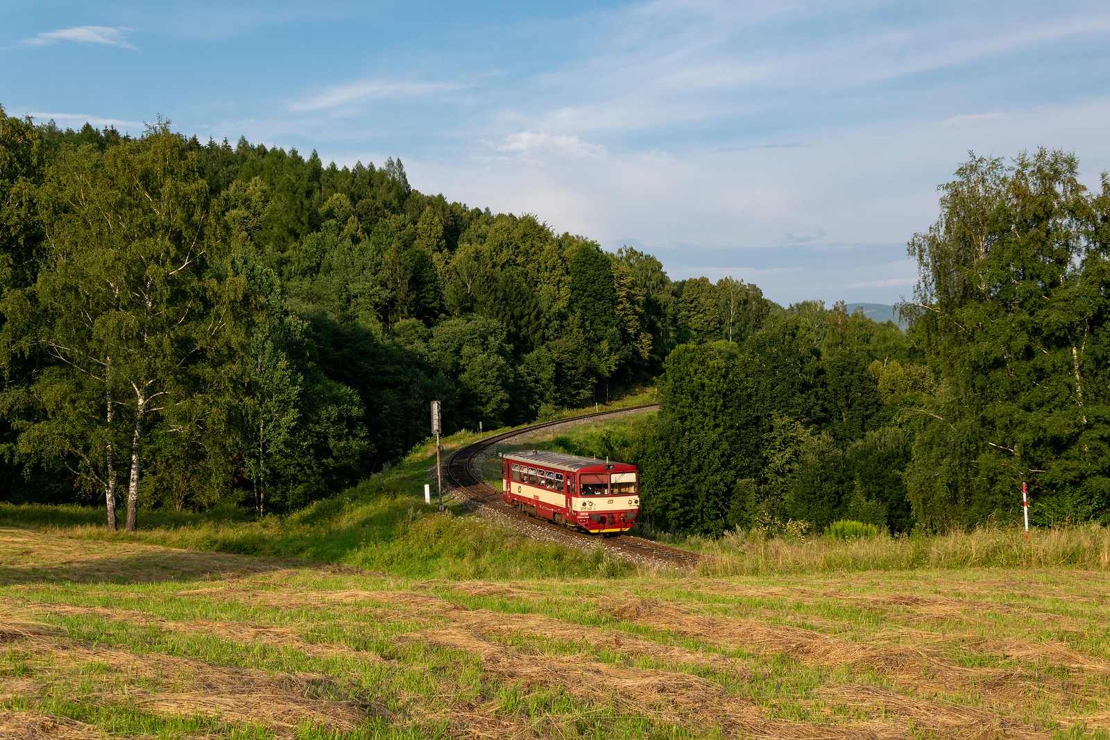 Zug in Lipová Lázně