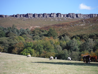 Stanage Edge from North Lees Hall SWC Walk 319 - Hathersage Circular (via Stanage Edge, Higger Tor &amp; Padley Gorge)