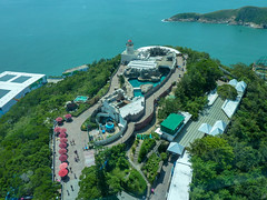 Photo 7 of 25 in the Day 18 - Ocean Park and Hong Kong Sightseeing gallery