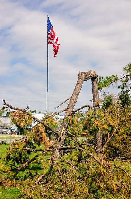 Broken pine tree and American flag after Hurricane Michael in Marianna Florida
