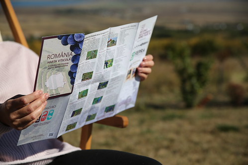 wine map romania | by Alina Iancu