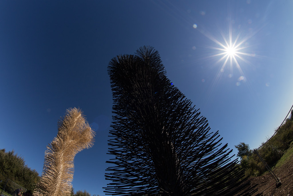 The Ash Project | 'Ash to Ash' is an environmental art insta… | Flickr