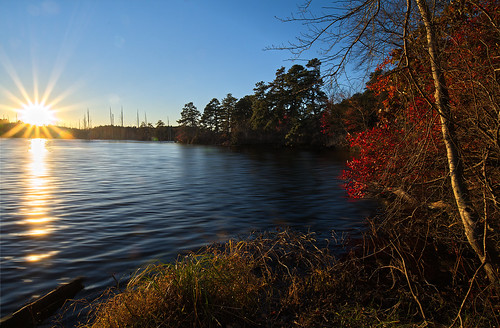 nikon nikond750 nikkor nature newjersey pinebarrens philadelphiaphotographer beyondtheview findingtheshot timing ruralamerica landscape lighting landscapebackground sunset shadows moody fall fallcolors water