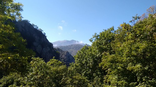 IMG-20181013-WA0049