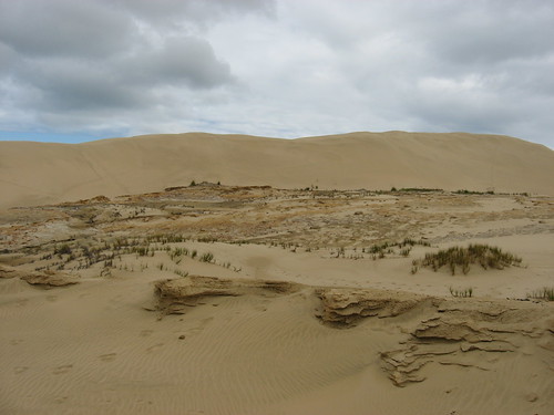 Giant Sanddune | by Verena in NZ