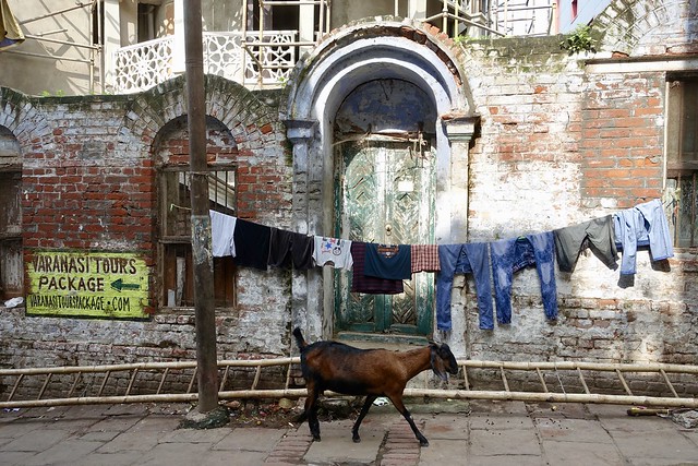 Washing day, Varanasi