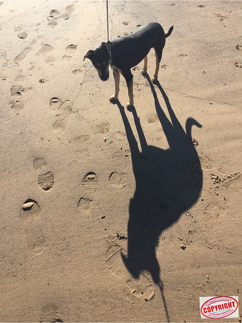 Max and his shadow - iphone6