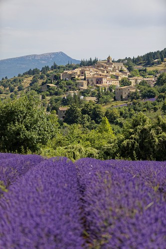 lavender provence france europe landscape summer vaucluse aurel