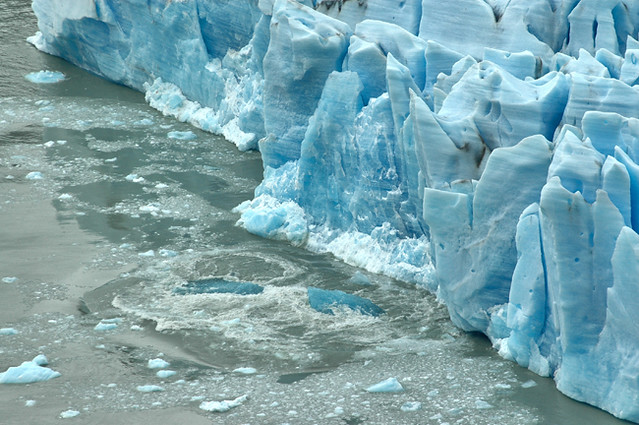 Ice Rising Fresh ice rising from beneath at the terminal of Glacier G… | Flickr