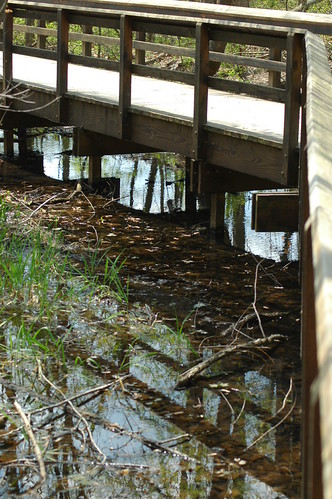 Boardwalk | by flyingember