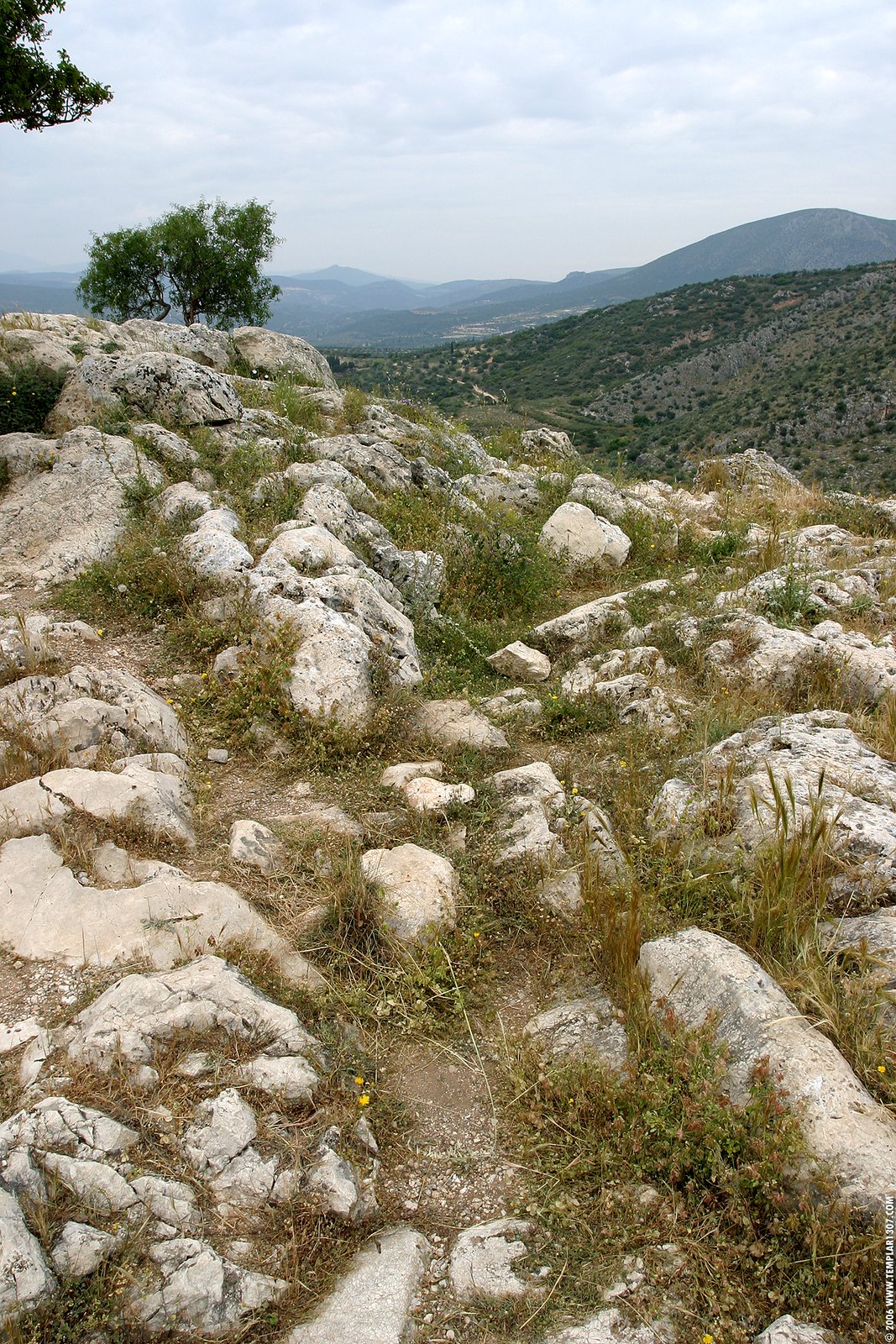 GR06 0259 Mycenae