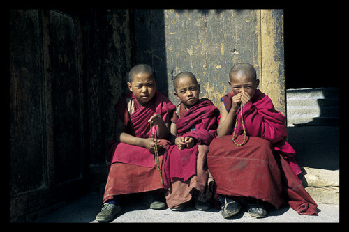3 young monks